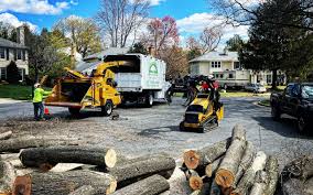 Best Lawn Disease Treatment  in Coopertown, TN