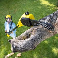 Best Lawn Irrigation Installation and Maintenance  in Coopertown, TN