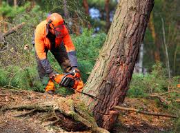 Soil Testing and Treatment in Coopertown, TN