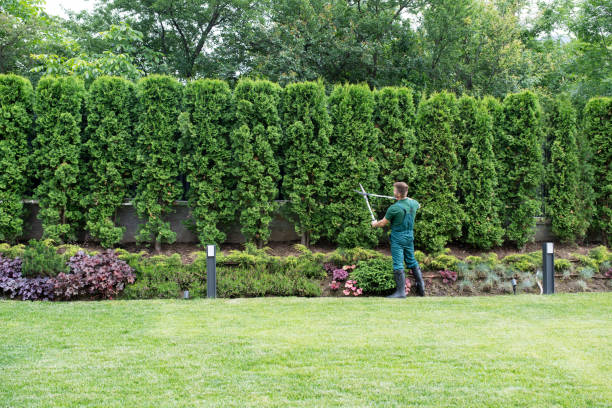 Best Pest Control for Lawns  in Coopertown, TN